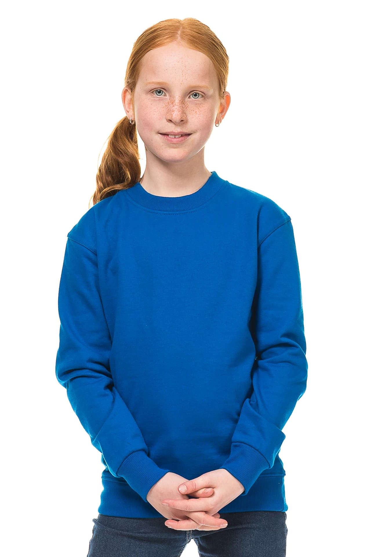 Sweatshirt Classic Heavy - Image 40